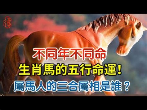 屬馬的五行|生肖屬馬人的五行與財運